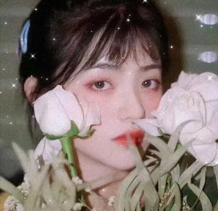 保护证人组粤语
